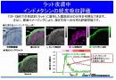 生体材料の経皮吸収評価が可能です