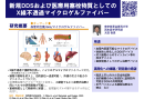 X線不透過マイクロゲルファイバ：DDS